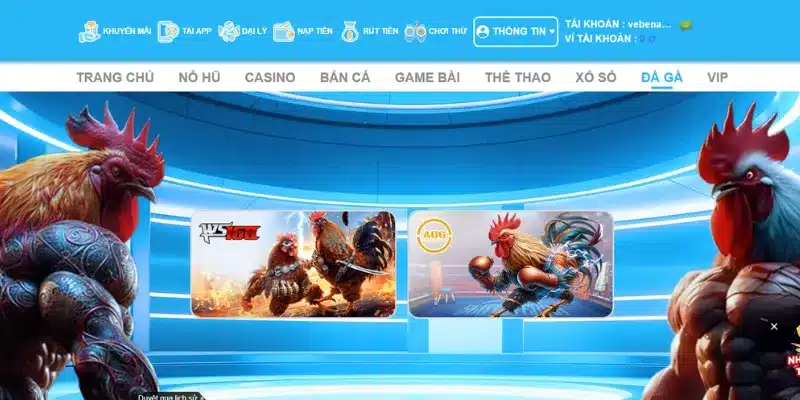 Các cửa cược phổ biến trong đá gà KO66