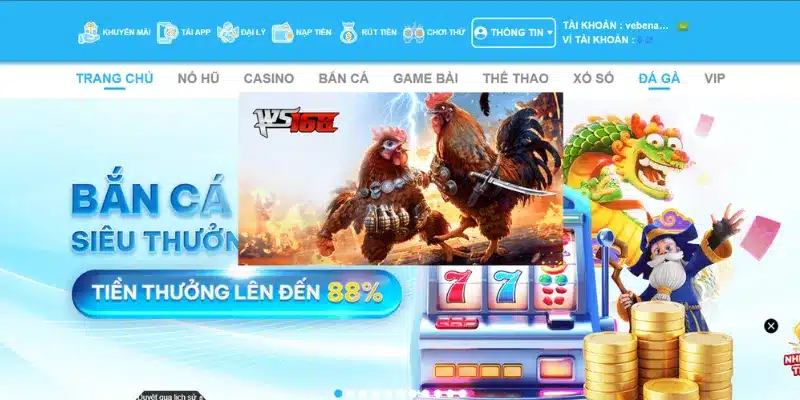 Giới thiệu sảnh Đá Gà KO66