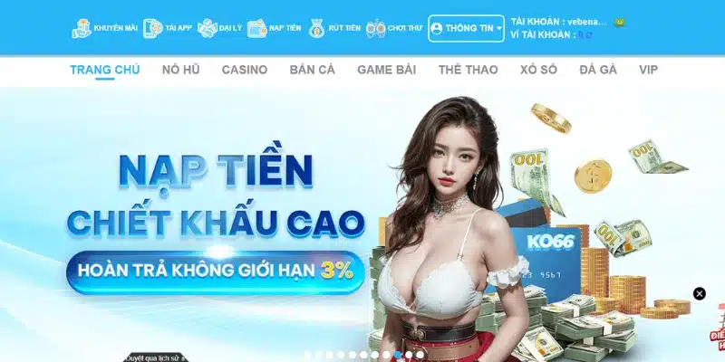 Hỗ trợ kỹ thuật bài bản