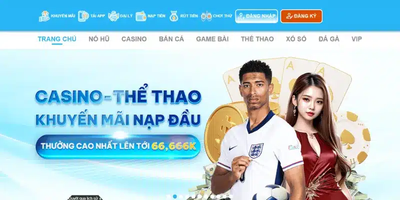 Truy cập nhầm website giả mạo