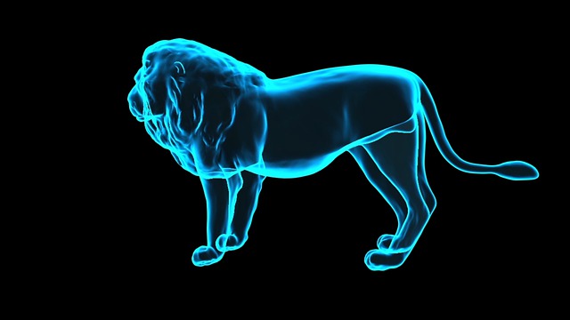 hologram lva