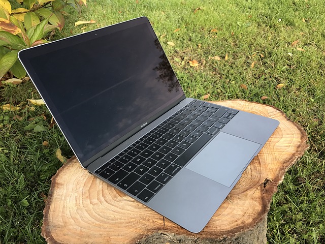 Notebook na pařezu
